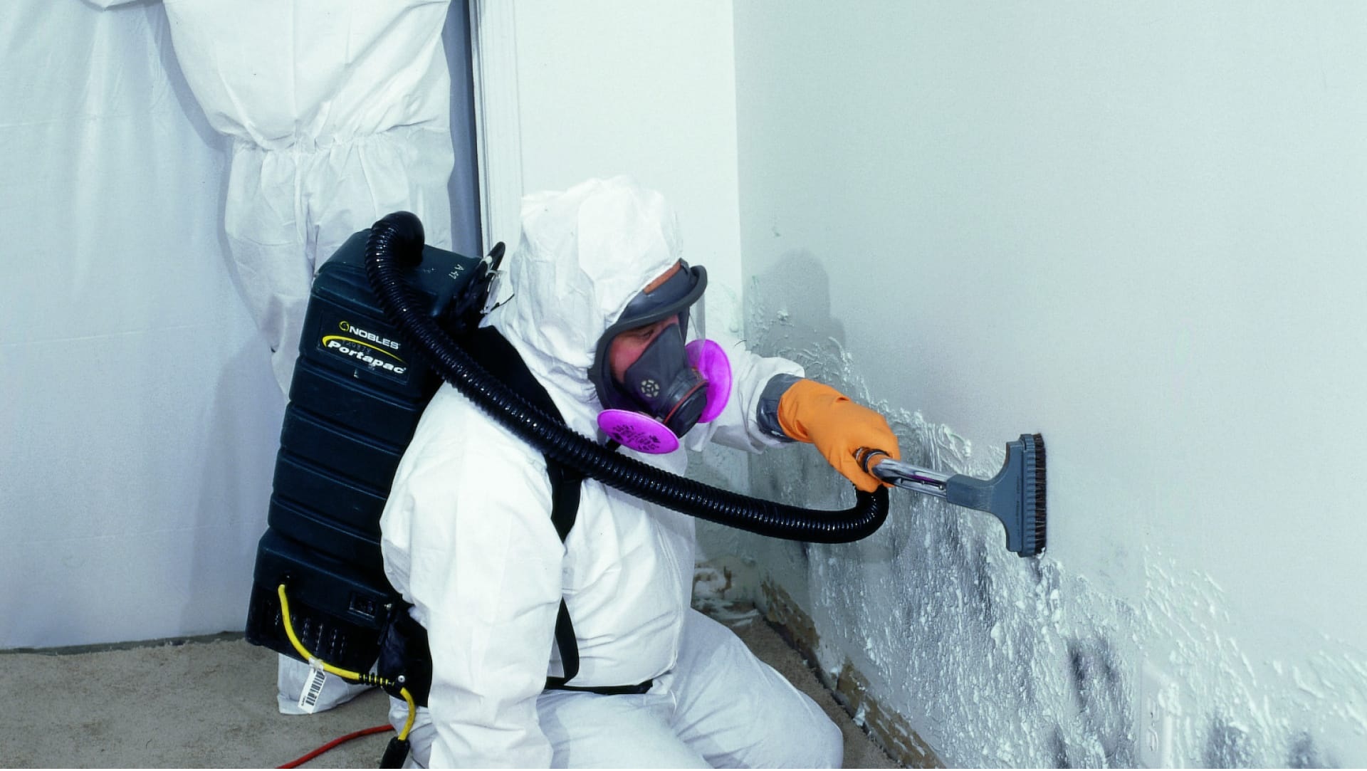 Mould Removal